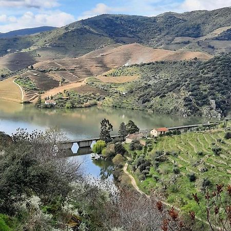 Quinta Da Ferradosa Wines Vendégház São João da Pesqueira Kültér fotó