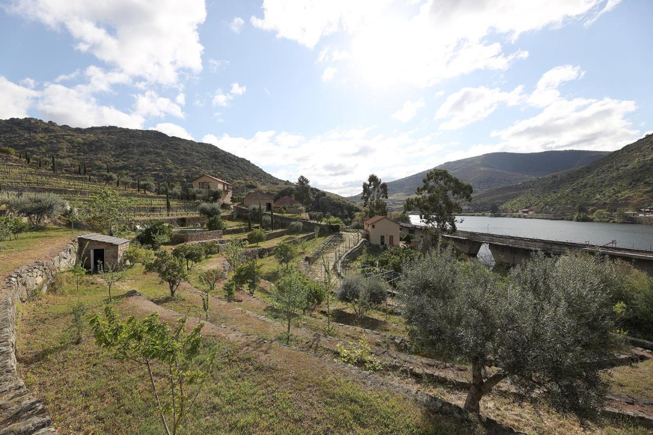 Quinta Da Ferradosa Wines Vendégház São João da Pesqueira Kültér fotó