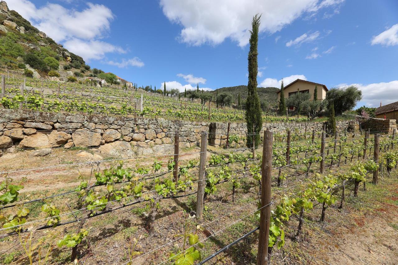 Quinta Da Ferradosa Wines Vendégház São João da Pesqueira Kültér fotó