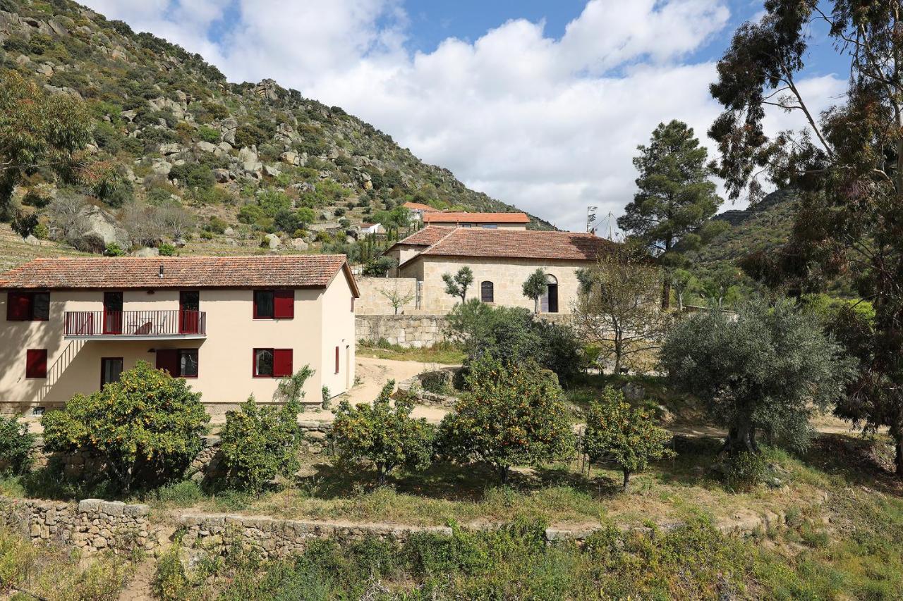 Quinta Da Ferradosa Wines Vendégház São João da Pesqueira Kültér fotó