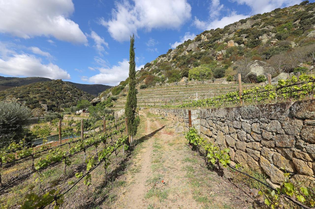 Quinta Da Ferradosa Wines Vendégház São João da Pesqueira Kültér fotó